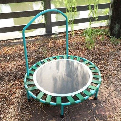 36 Trampoline With Handrail